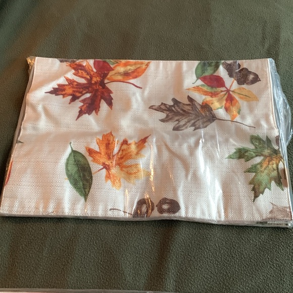 NWT set of 4 Harvest fall placemats. Used 1 time set of 4 placemats. - Picture 3 of 4
